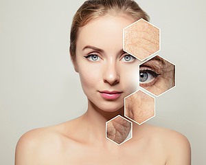 Mit PolyPhil behandelbare Körperstellen