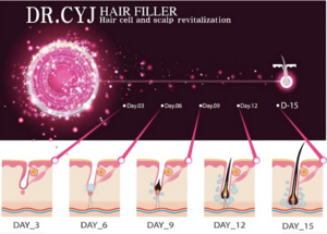 Wirkweise des Dr. DYJ Hairfiller