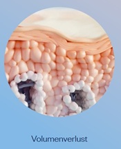 Vorteile von HArmonyCa