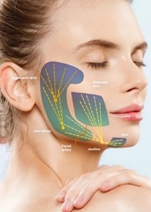 Mit HArmonyCa behandelbare Körperstellen